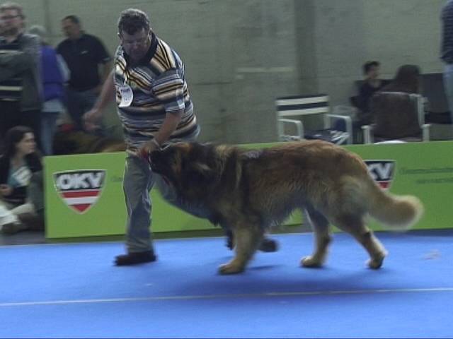 Salzburg Clubschau Mai 06 098 